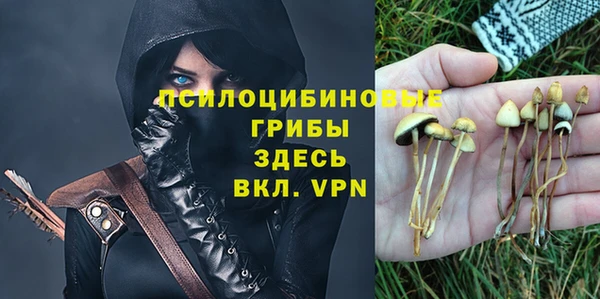 гидропоника Новокубанск