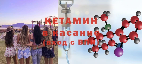 шишки Саки