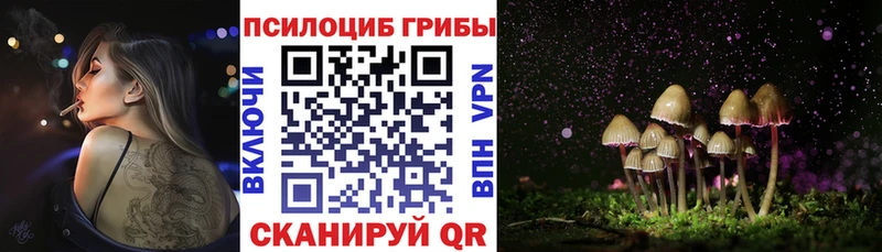 Псилоцибиновые грибы Cubensis  Игра 