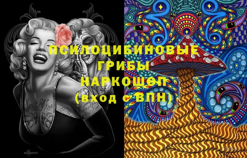 Псилоцибиновые грибы Psilocybe  как найти закладки  Игра 